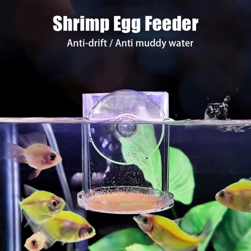 Acrylic Brine Shrimp Feeder Fi - Seaweed Snack 评论和价格