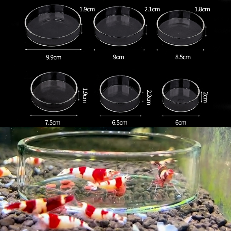 Shrimp Feeding Dish High Trans - Seaweed Snack 评论和价格